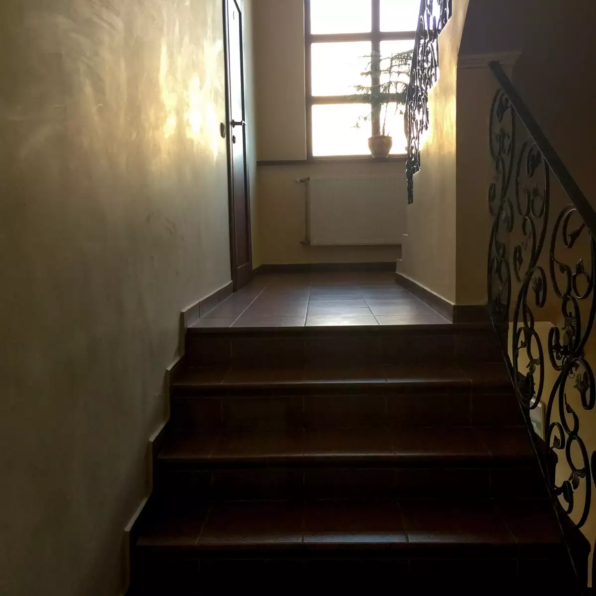 Guest house “Adonis”