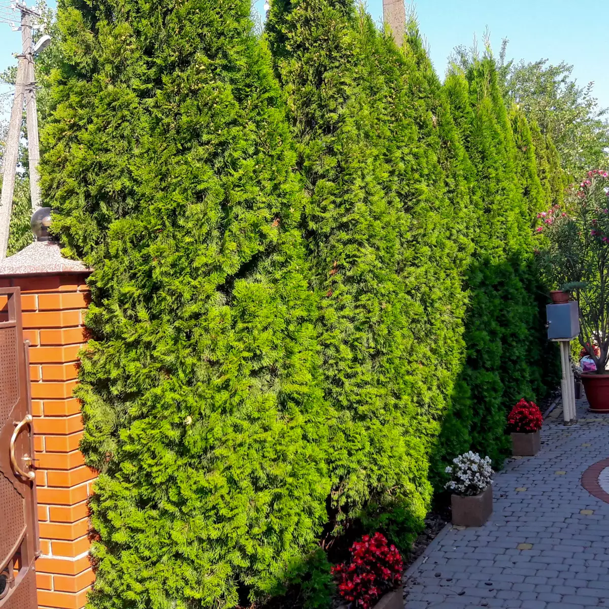 Hotel “Villa Fenix”