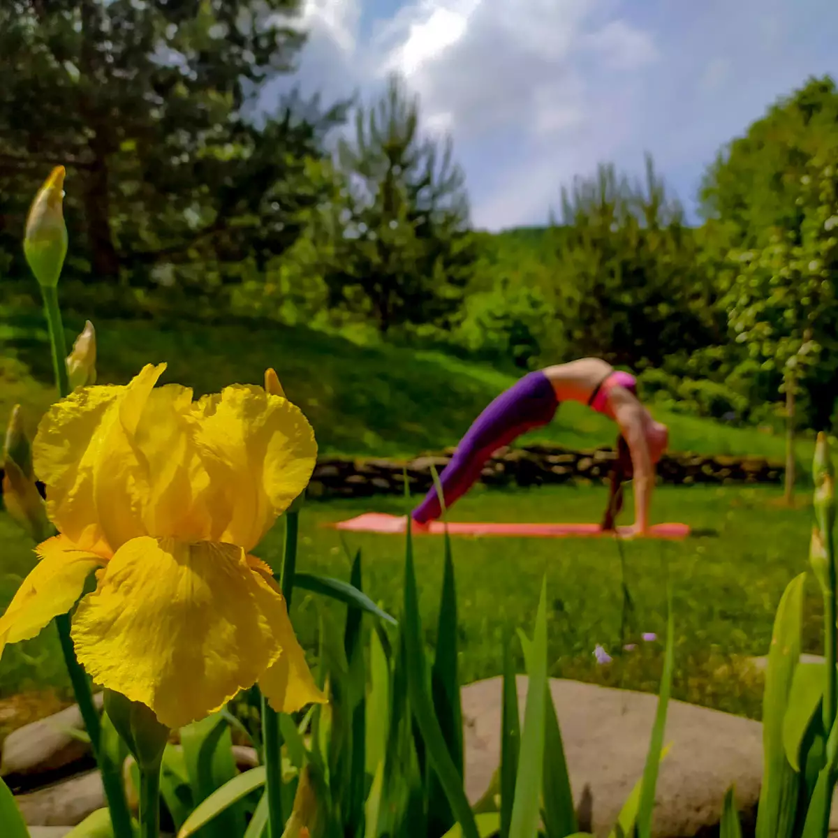 Gutshof „Ertasch“.