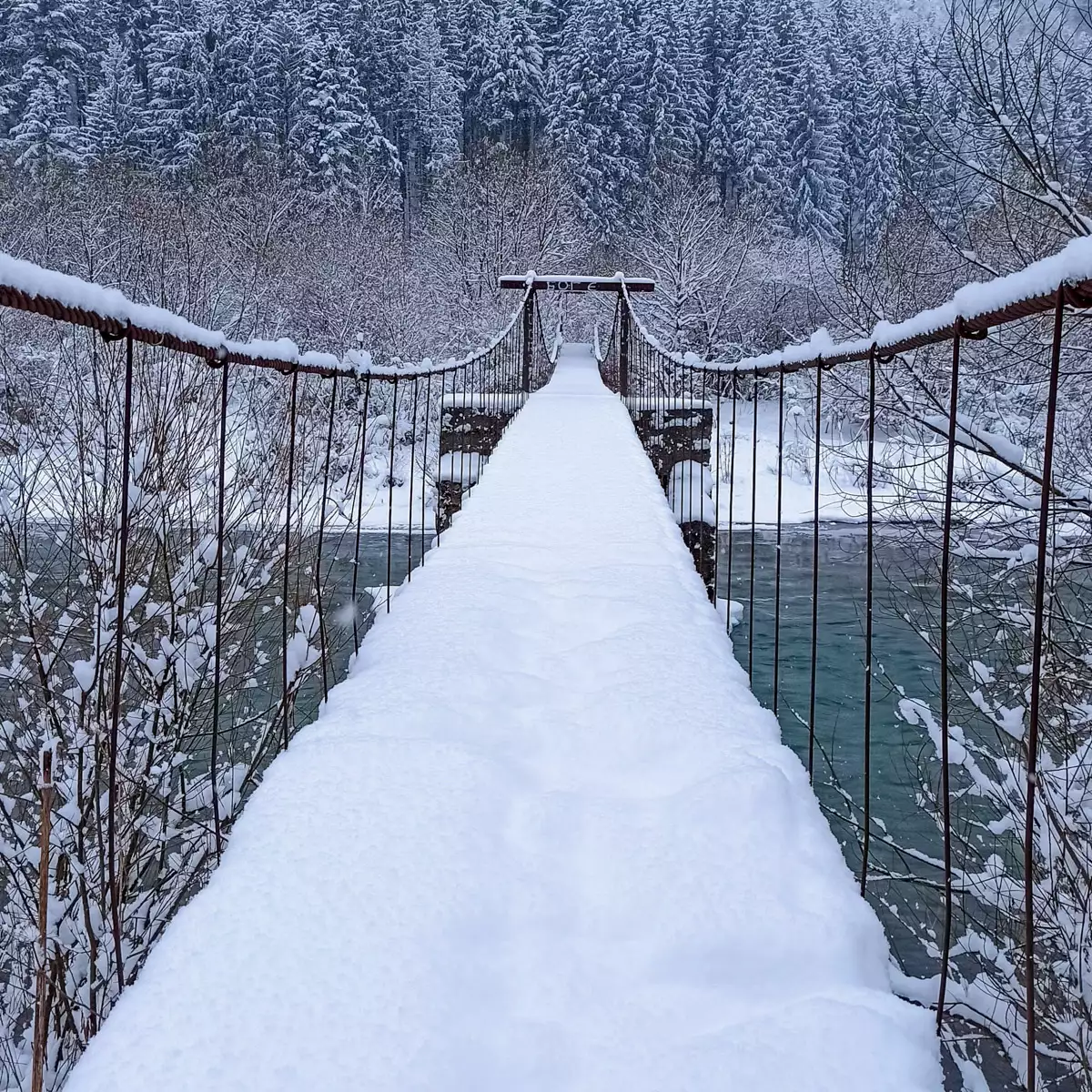 Гостинний двір «Живиця Чан»