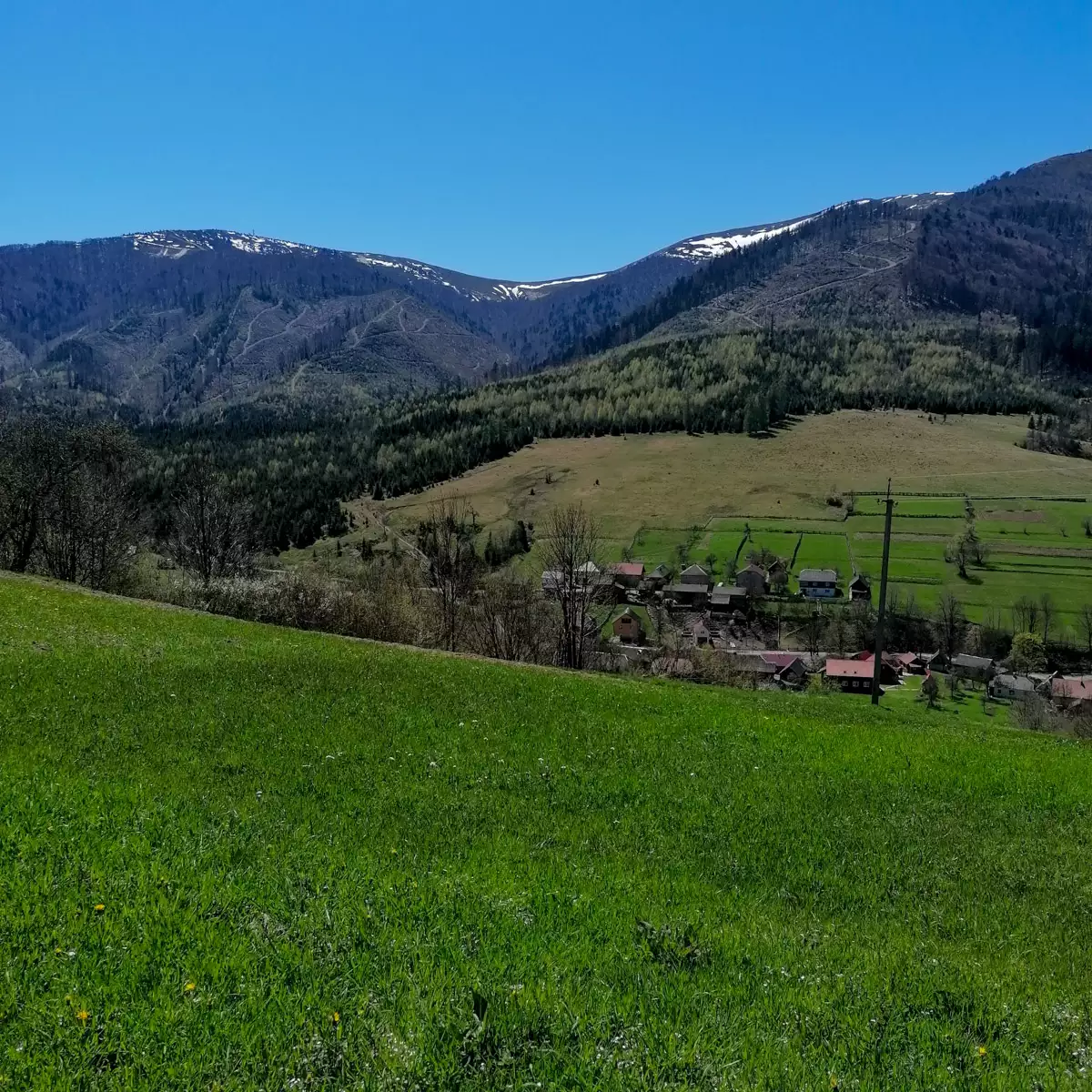 Manor “Zatyshok u Yolany”