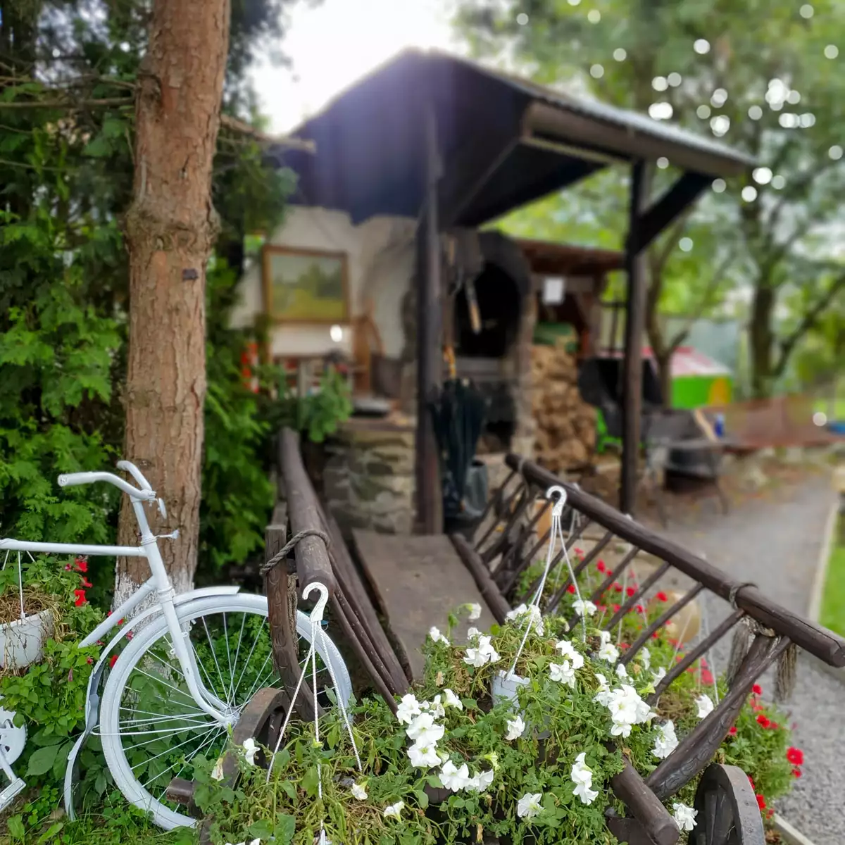 Отель «Shulc»