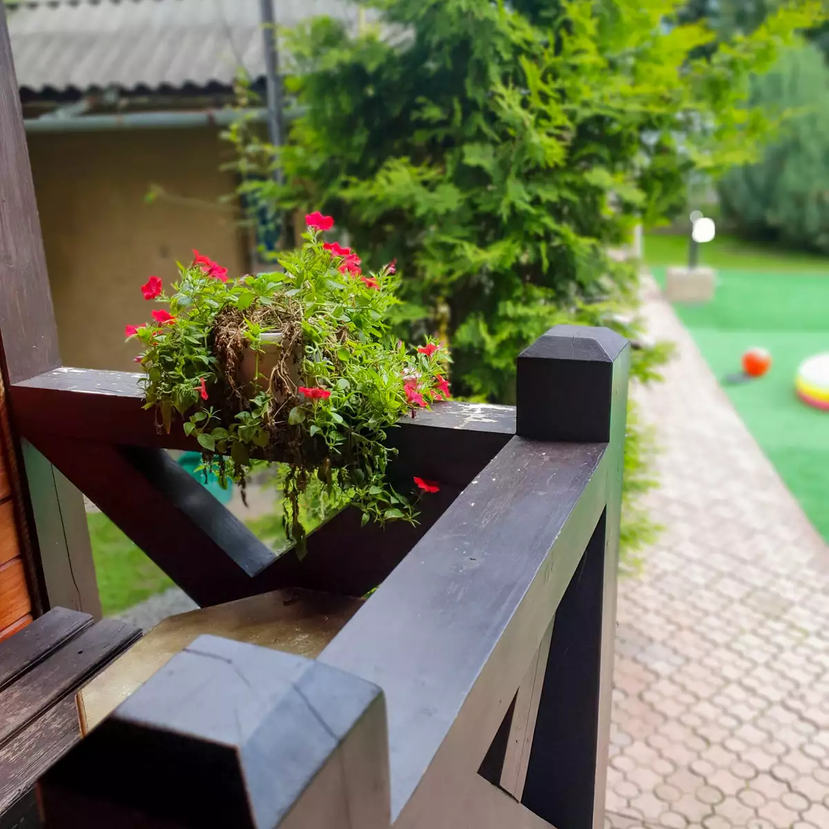 Отель «Shulc»