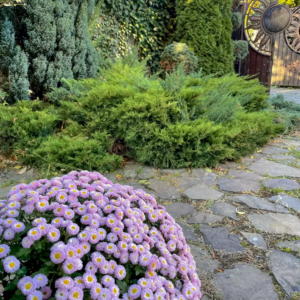 Guest house “Adonis”