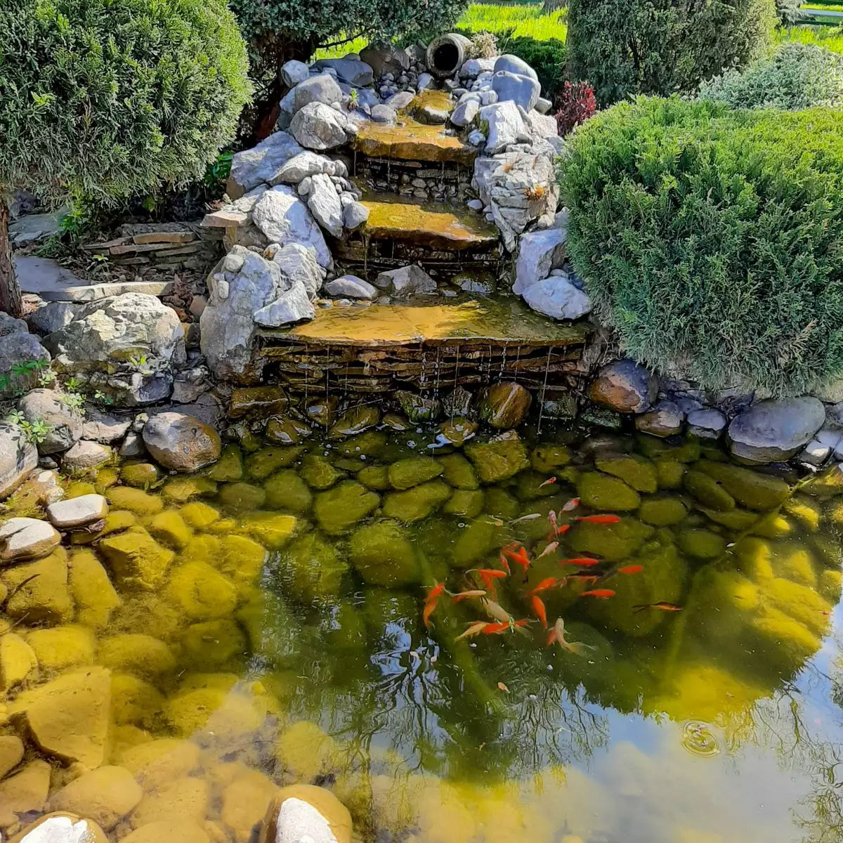 Hütten «FrenchTown»