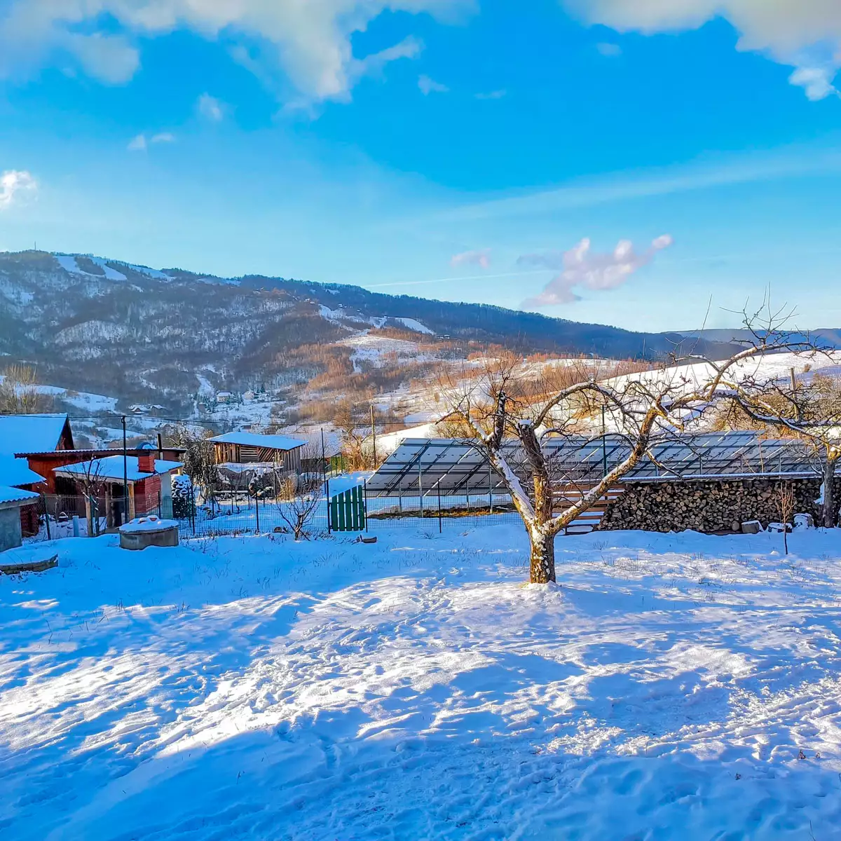 Manor “Mayfaina”