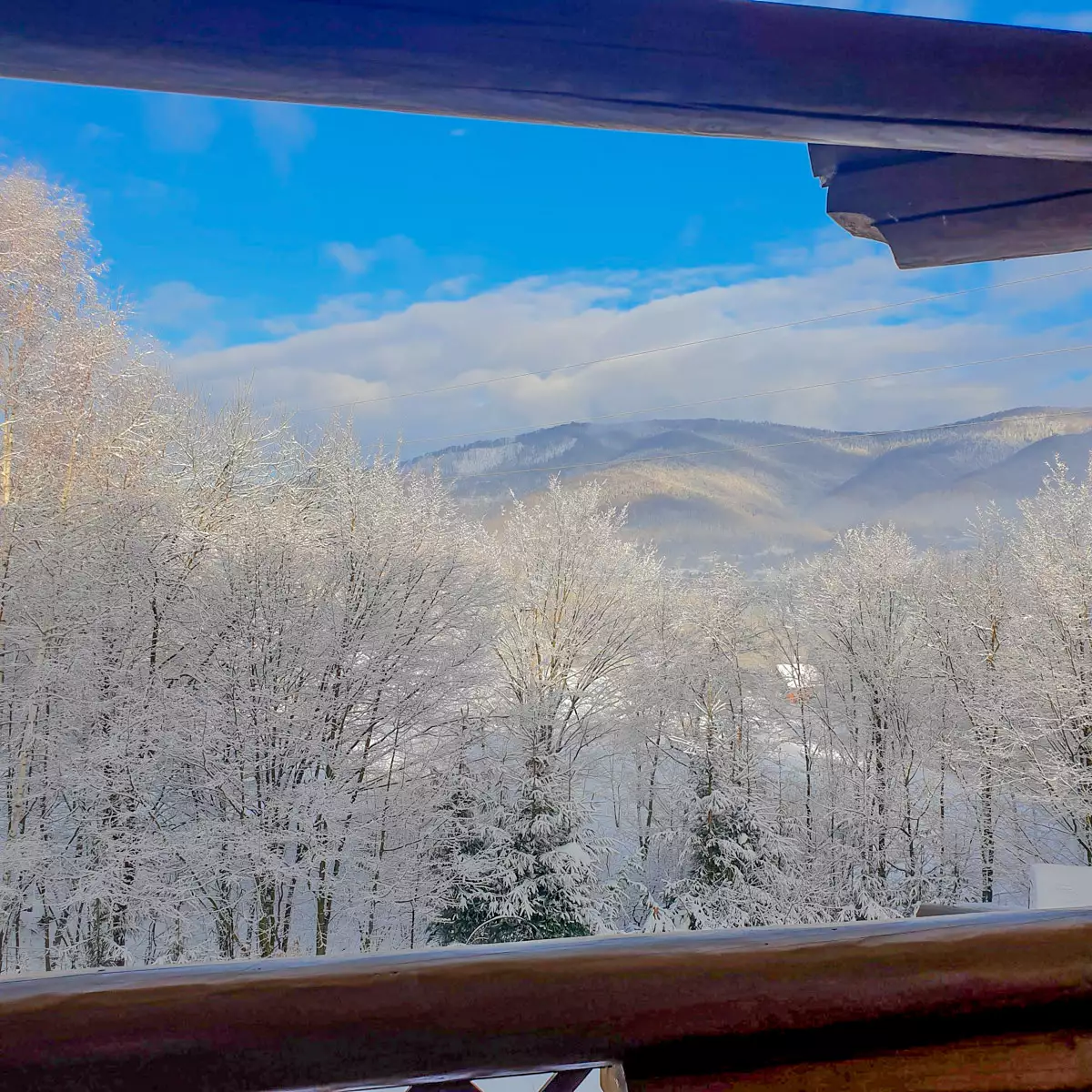 Gutshof „Ertasch“.