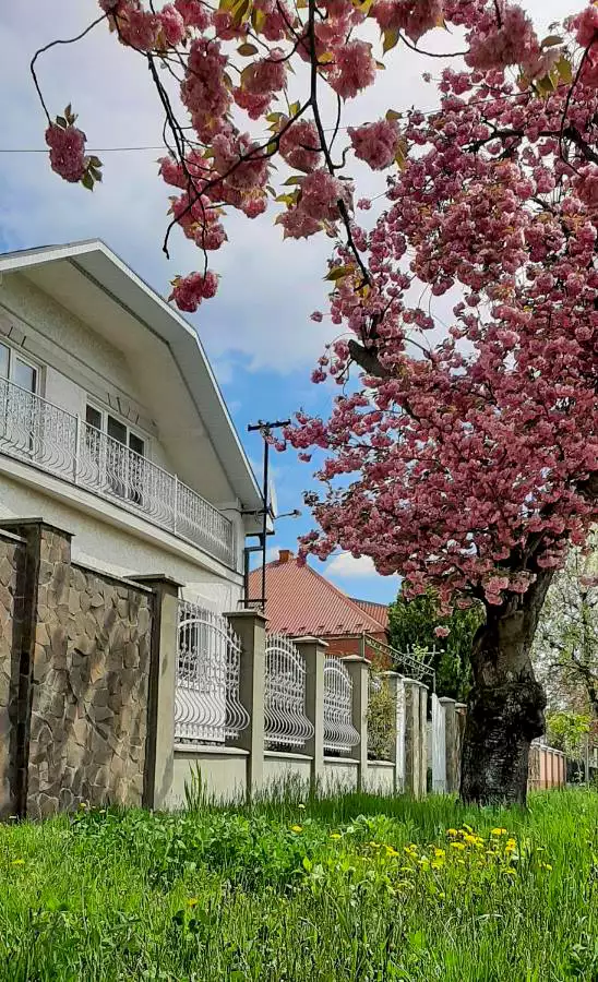 Lux Guest Hous Мukachevo