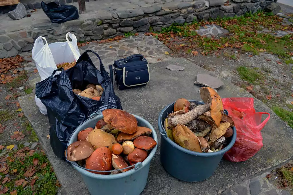 Охотничья усадьба