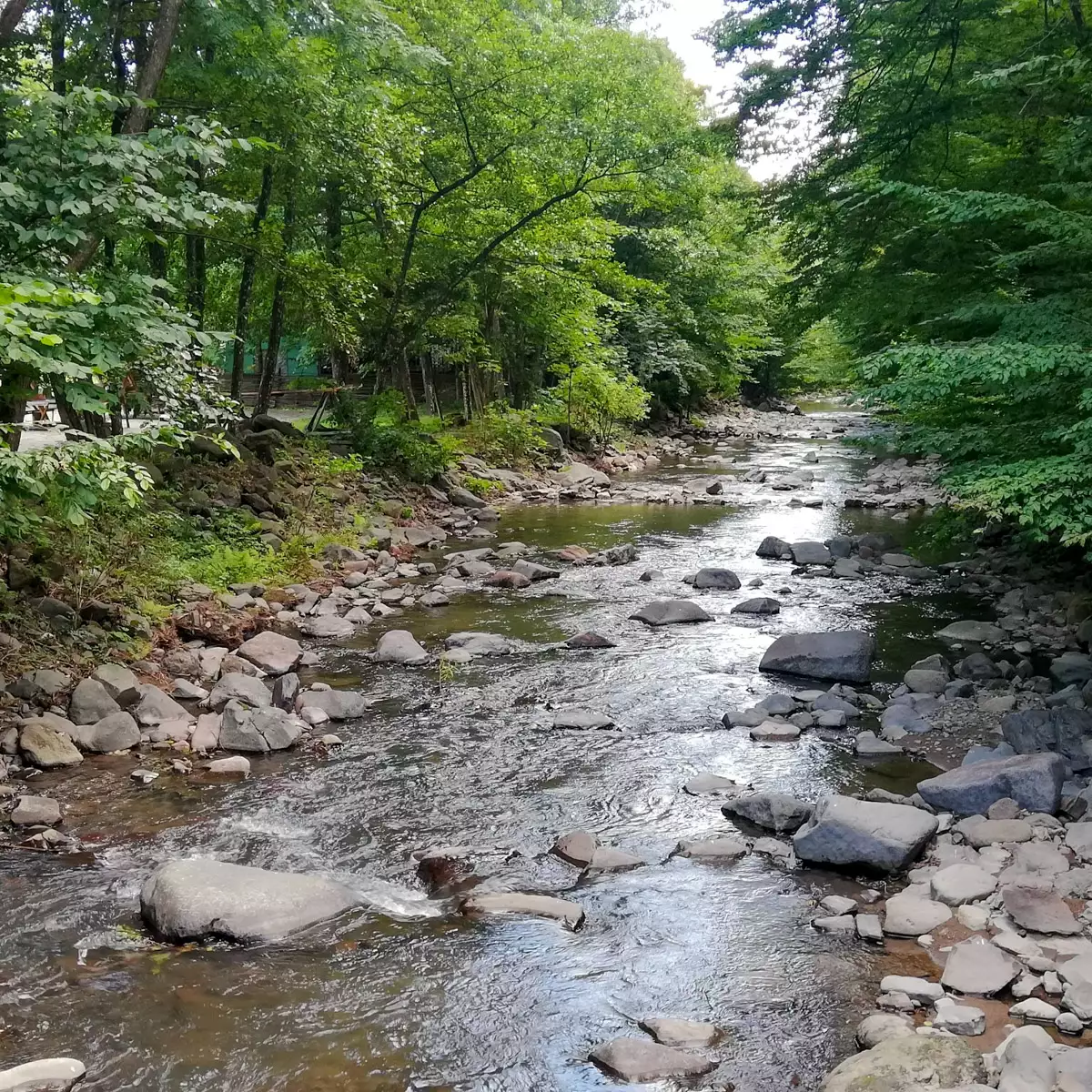 Котеджний комплекс «Білочка»