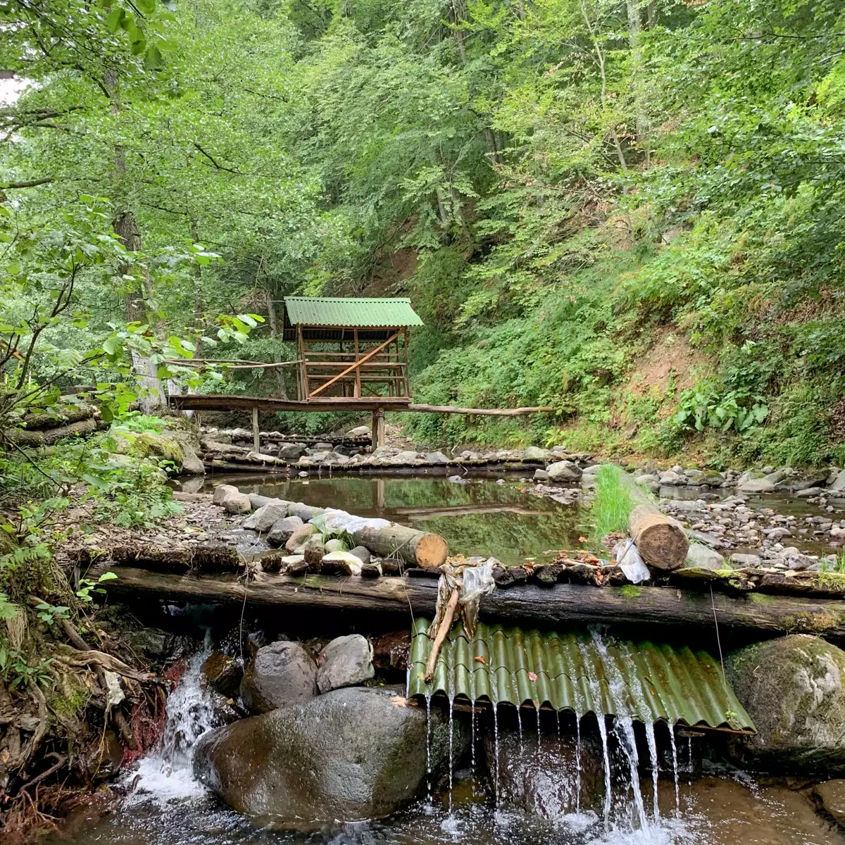 Садиба «У Петровція»