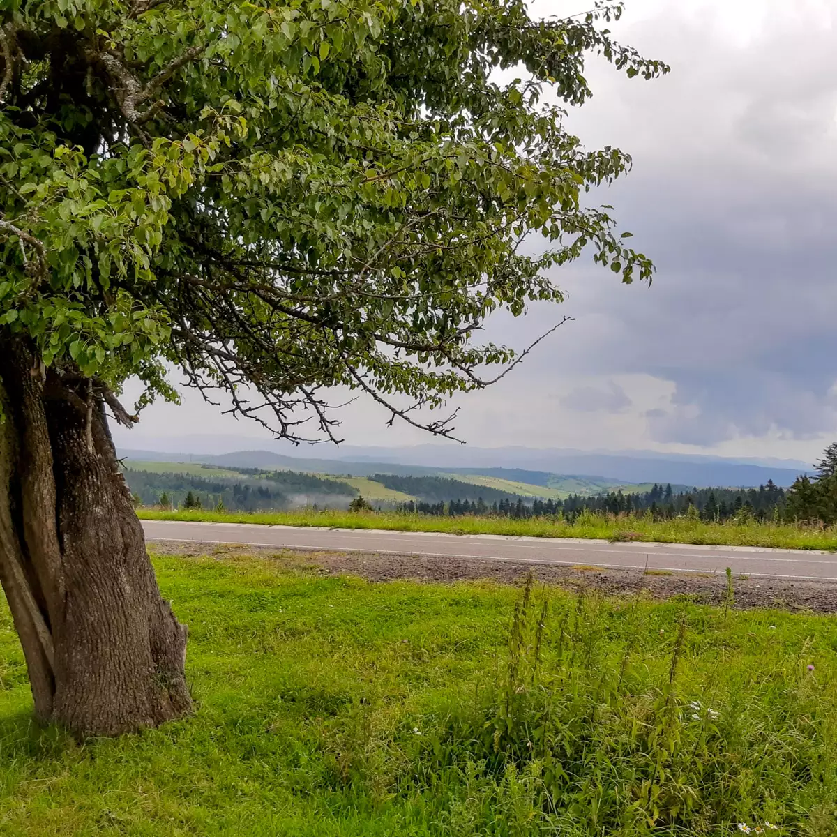 Ужоцький перевал