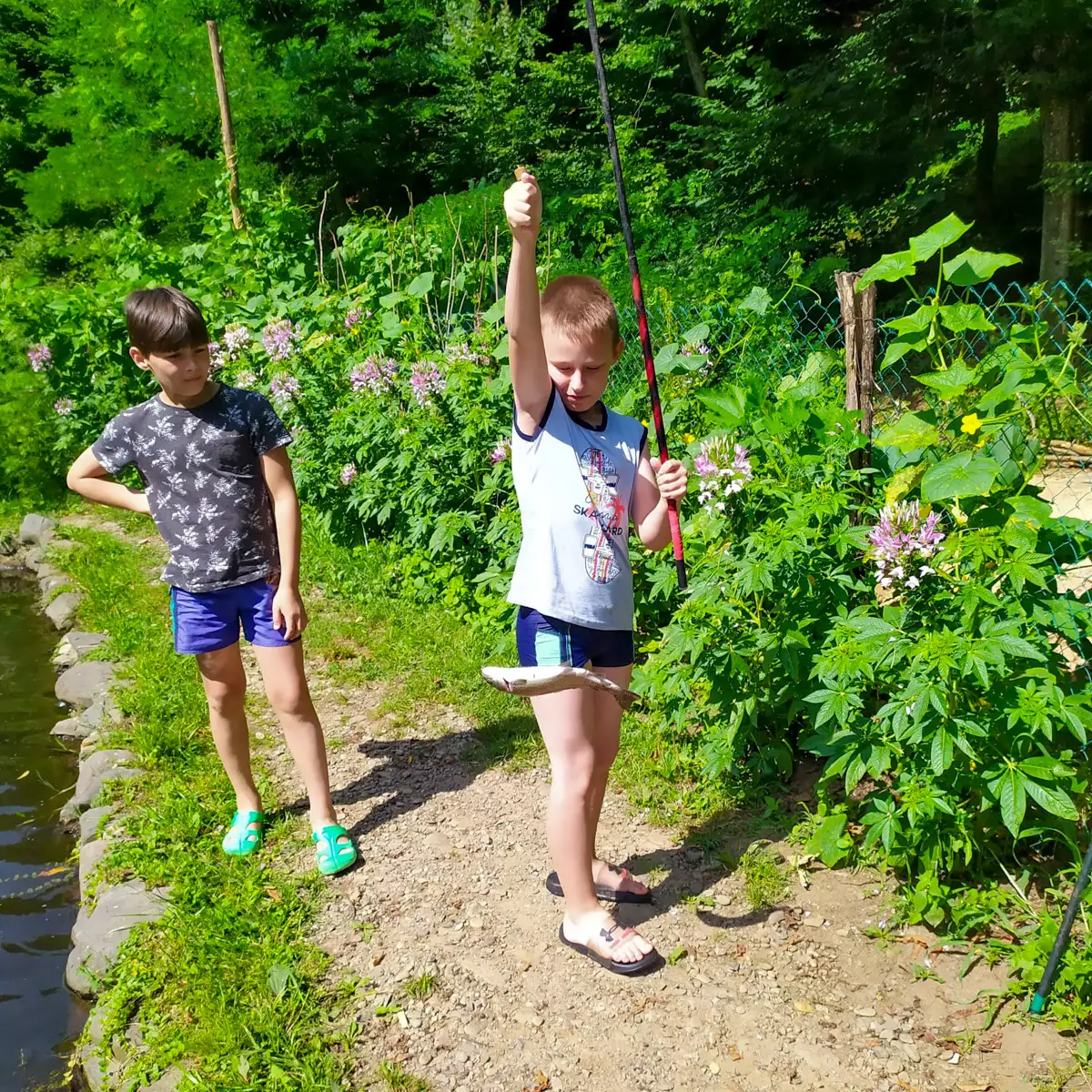 Садиба «У Петровція»