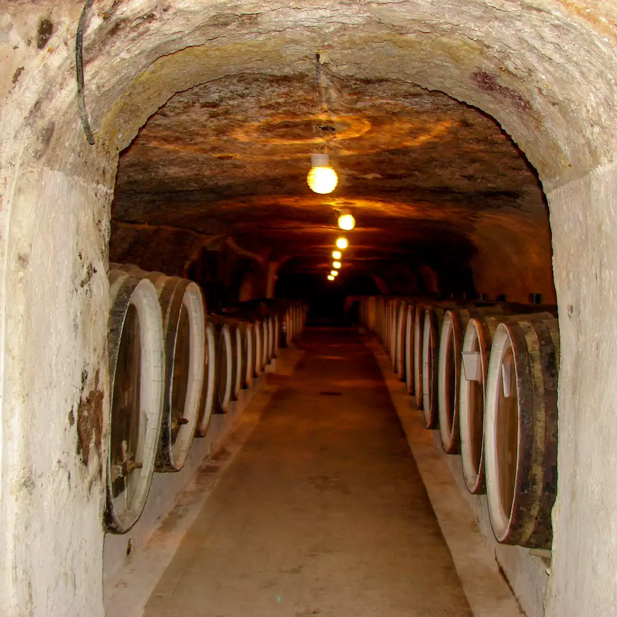 Середнянські винні погреби