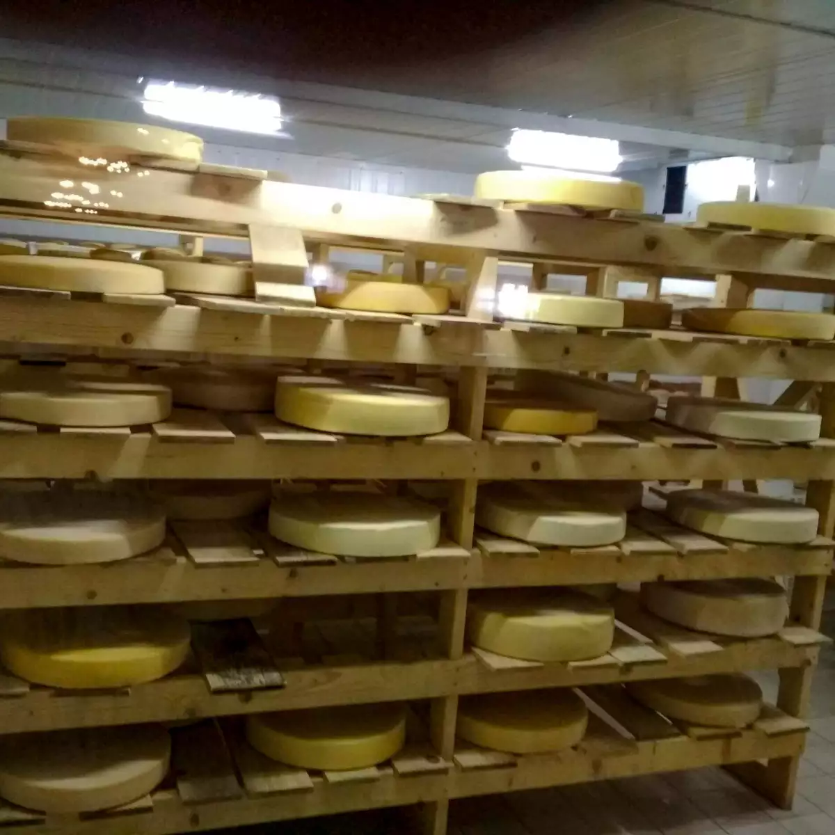 Ресторан «Водолей»