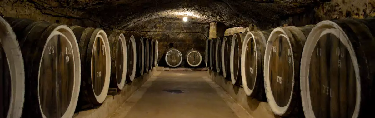 Середнянські винні погреби