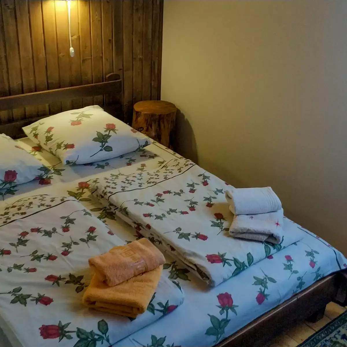 Manor “Under the mountain”