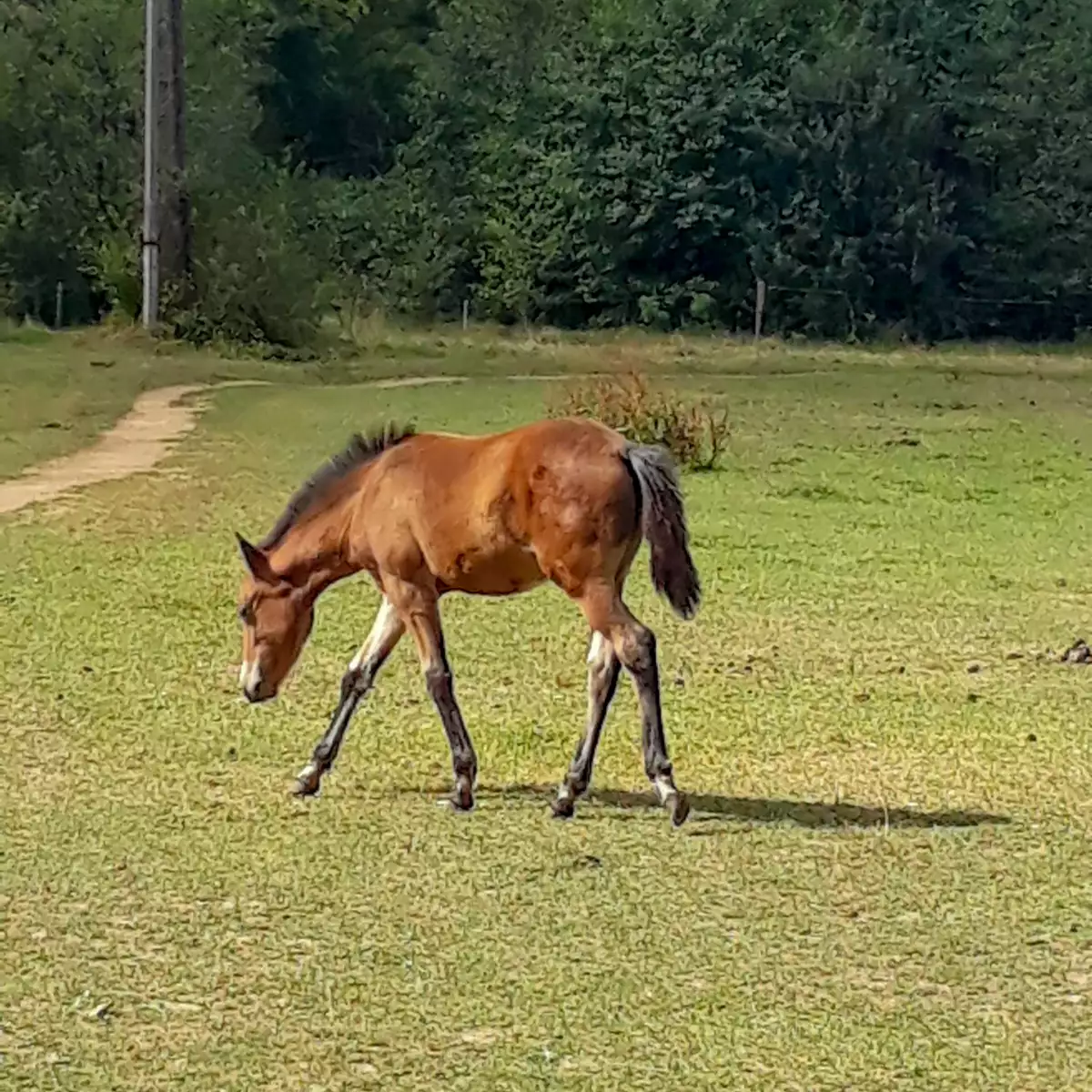 Садиба «У Еріки»