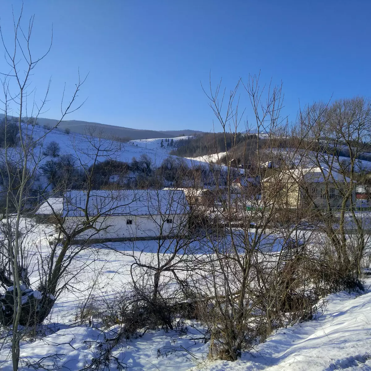 Селоі Тишів