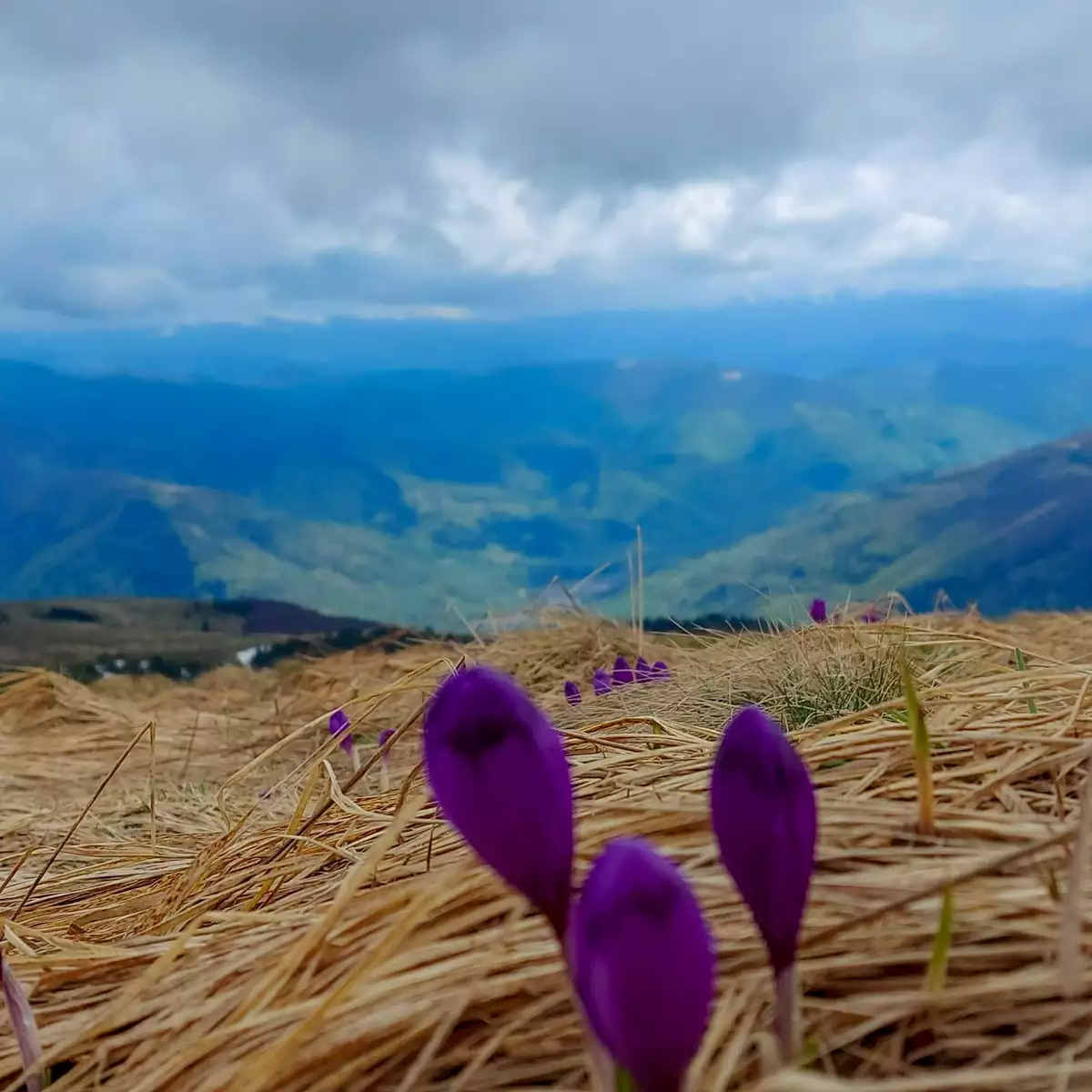 Гора Близниця