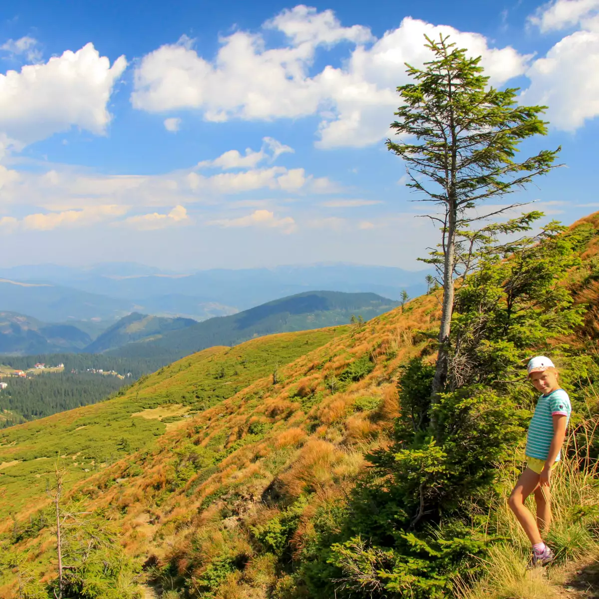 Гора Близниця