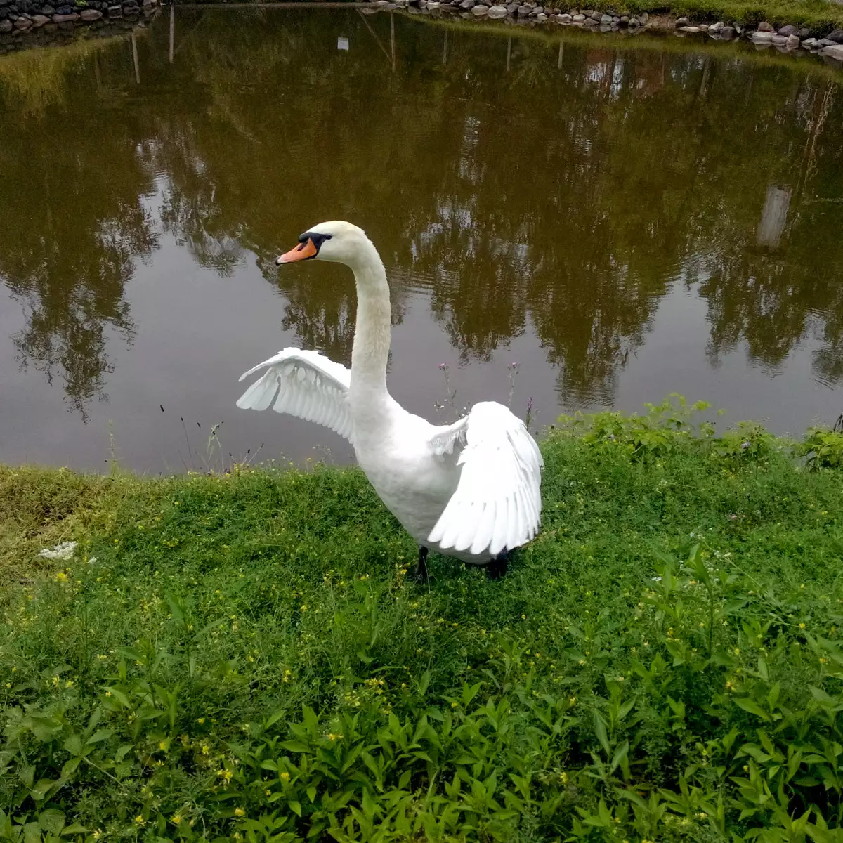 Отель «Эльдорадо»