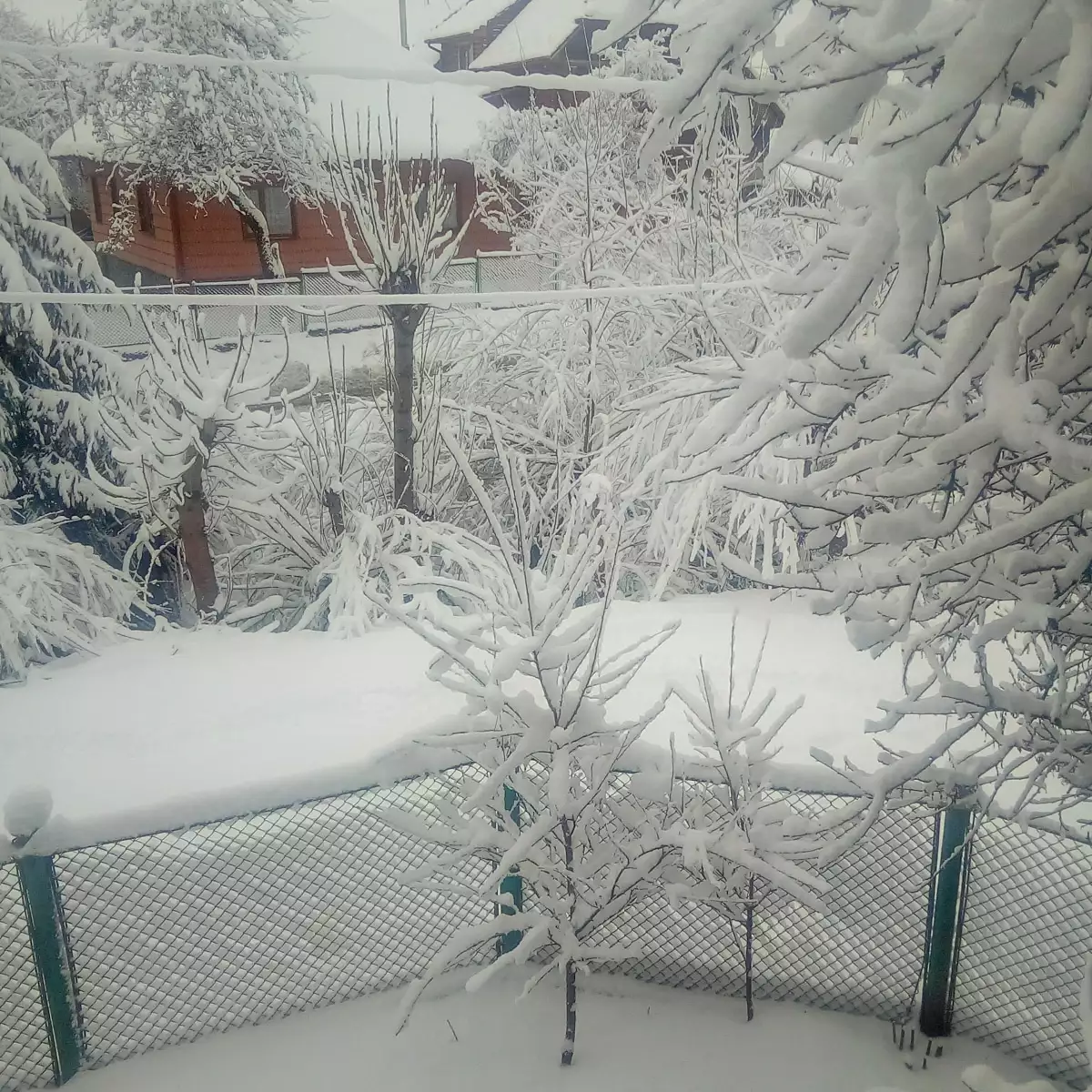 Церква Вознесіння Господнього в селі Тишів