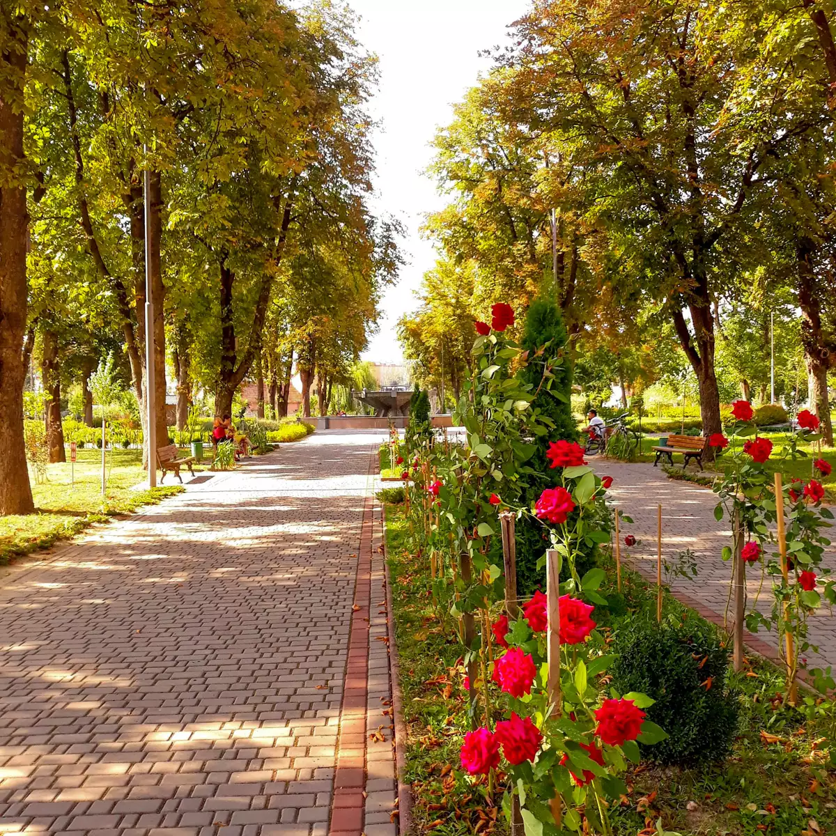 Міський парк у Хусті