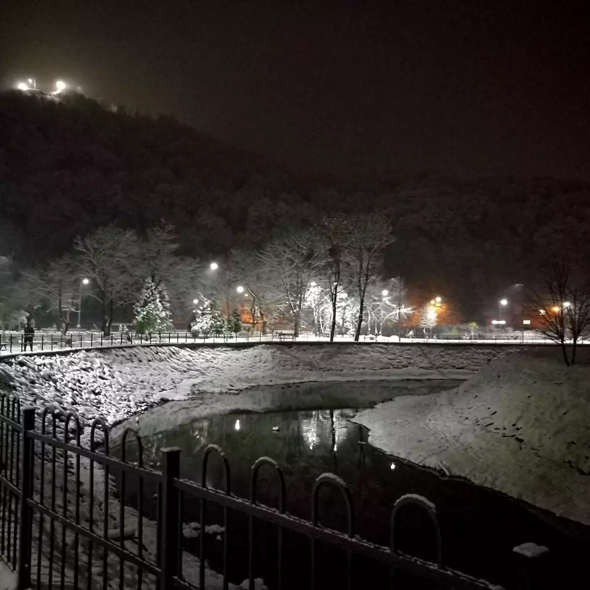 Міський парк у Хусті