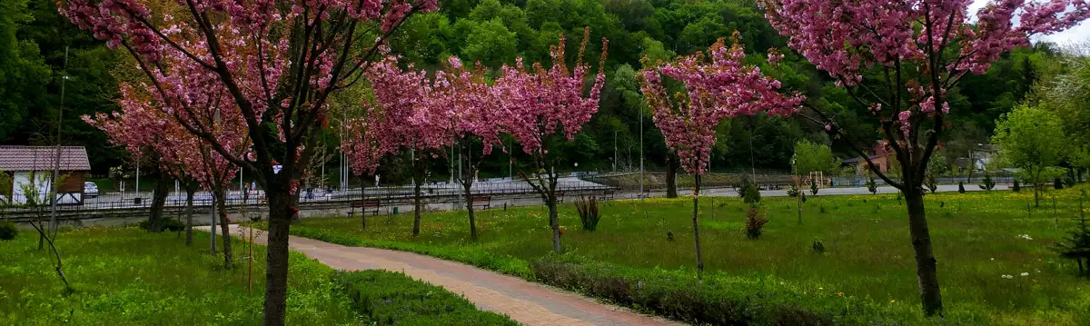 Міський парк в Хусті