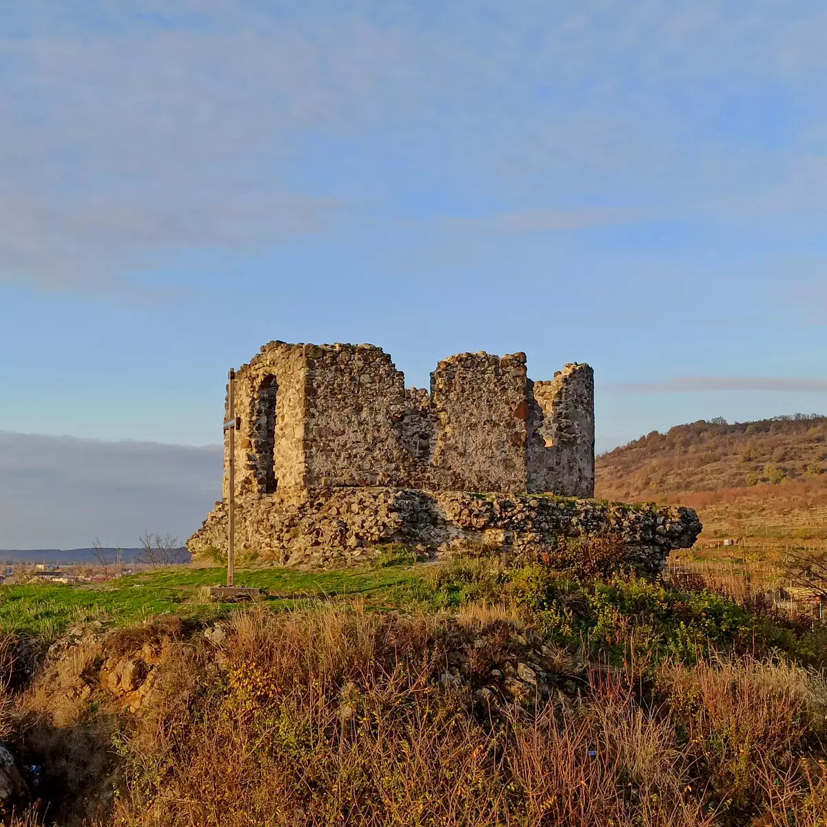 Виноградівський замок Канків