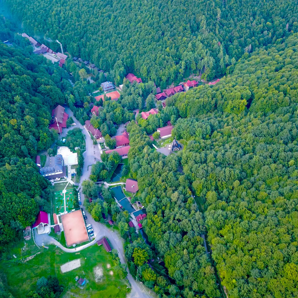 Комплекс «Воєводино»