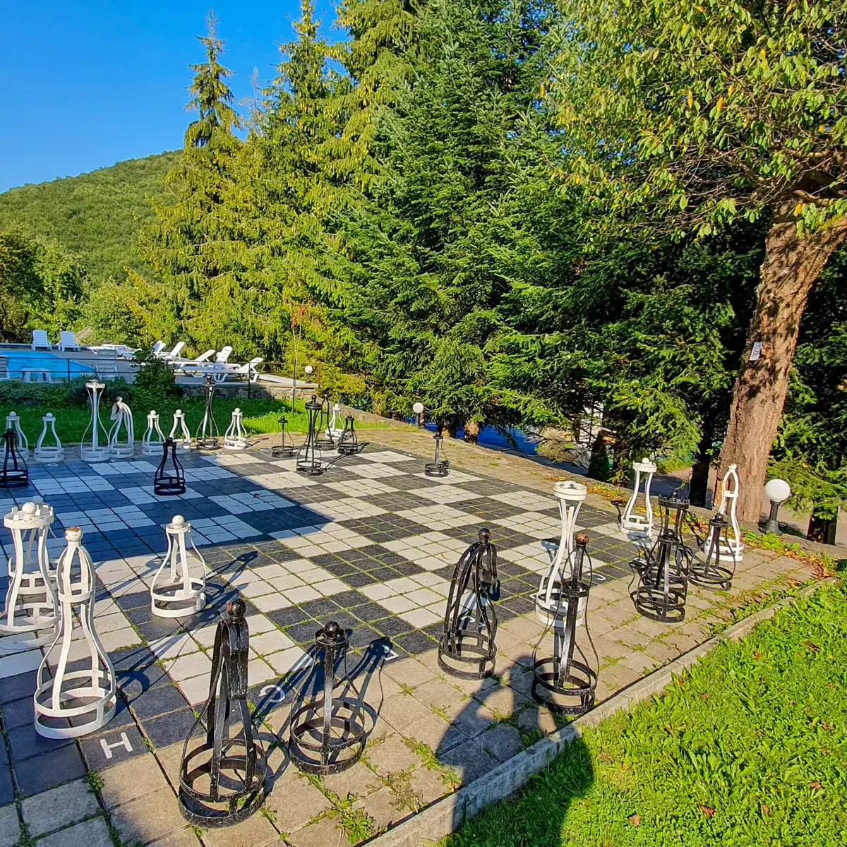 Комплекс «Воєводино»