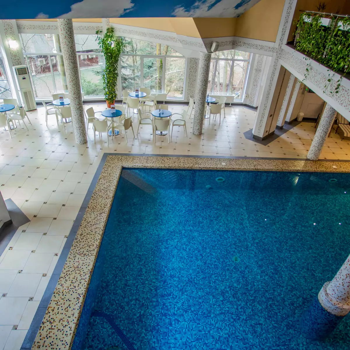 Комплекс «Воєводино»