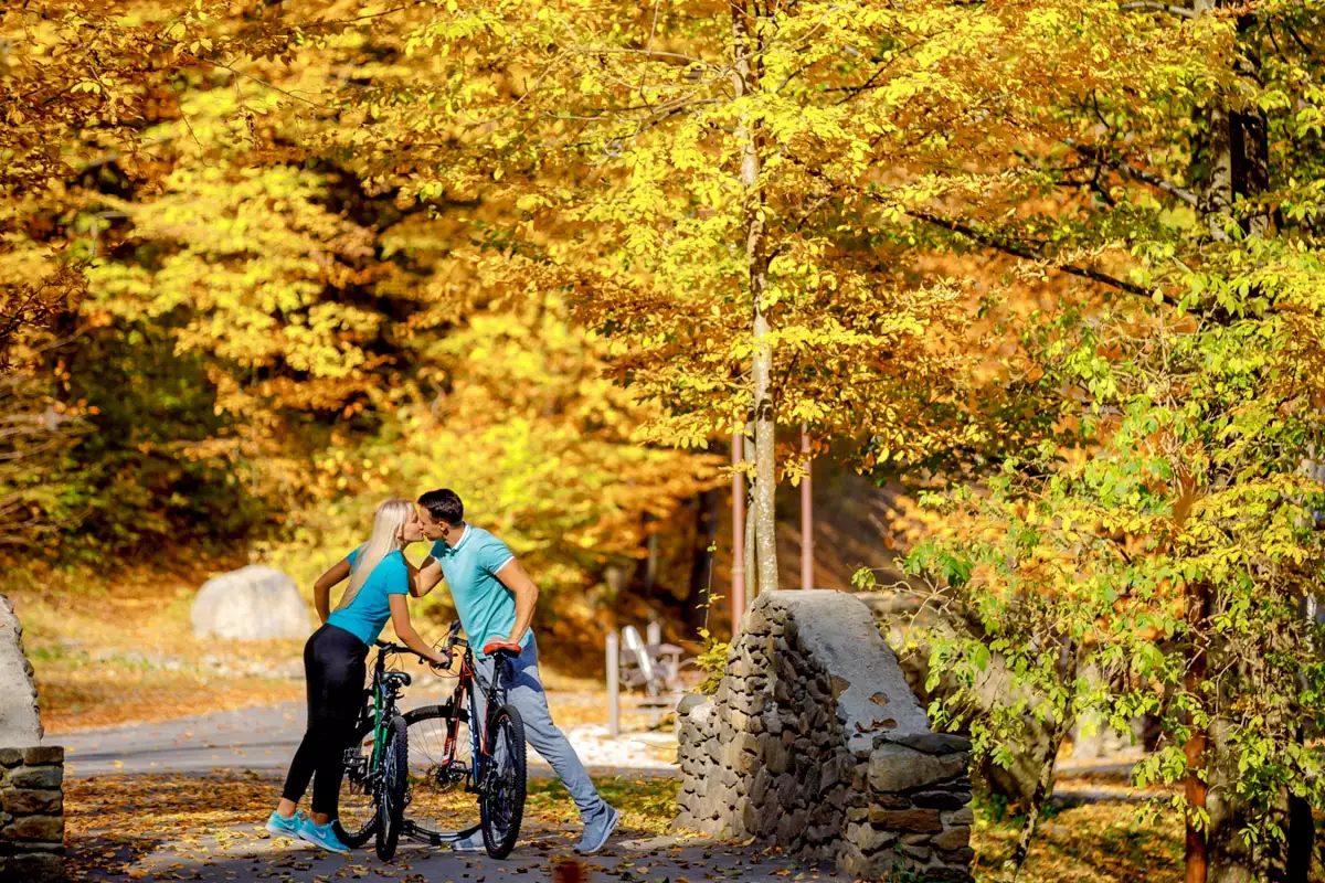 Комплекс «Воєводино»