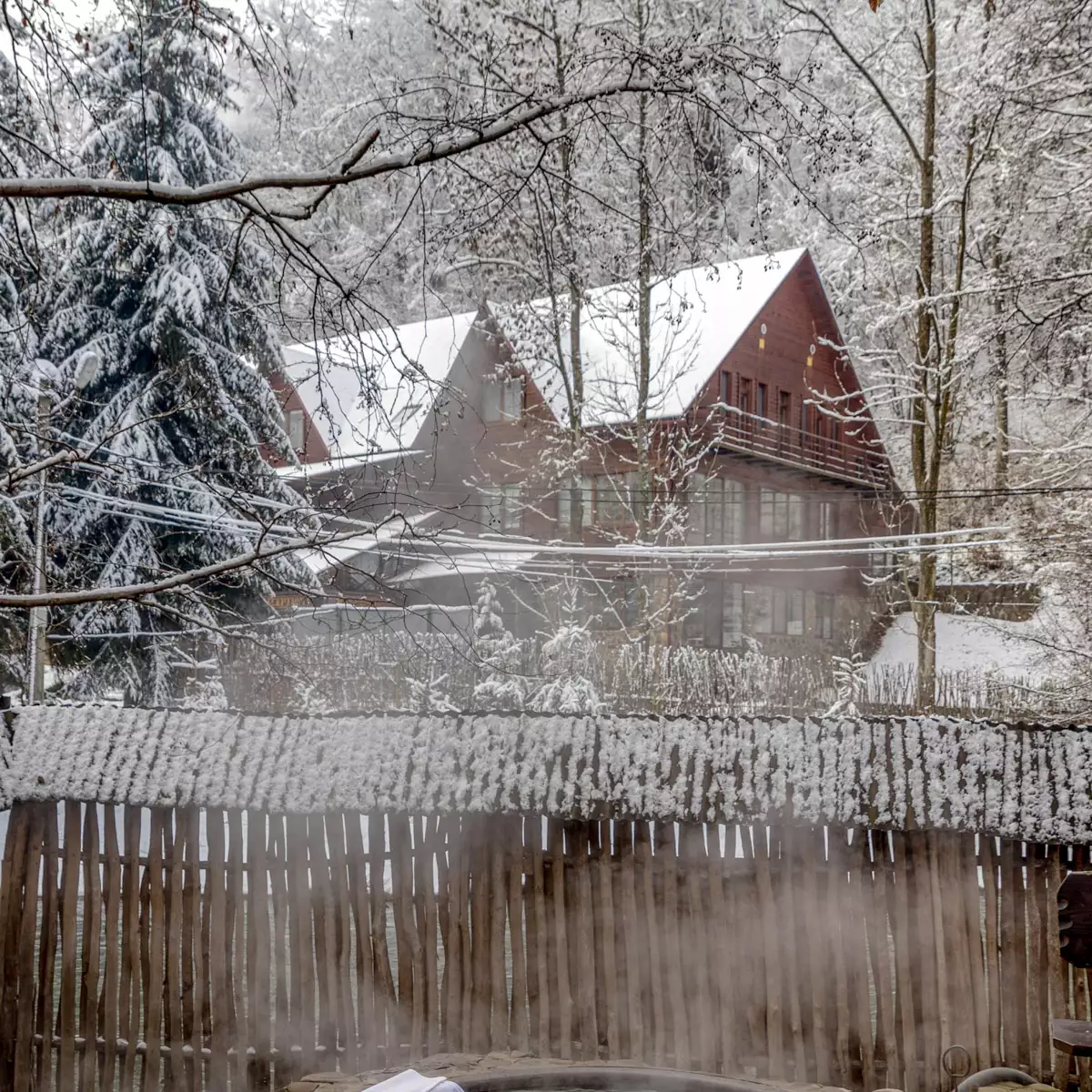 Комплекс «Воєводино»