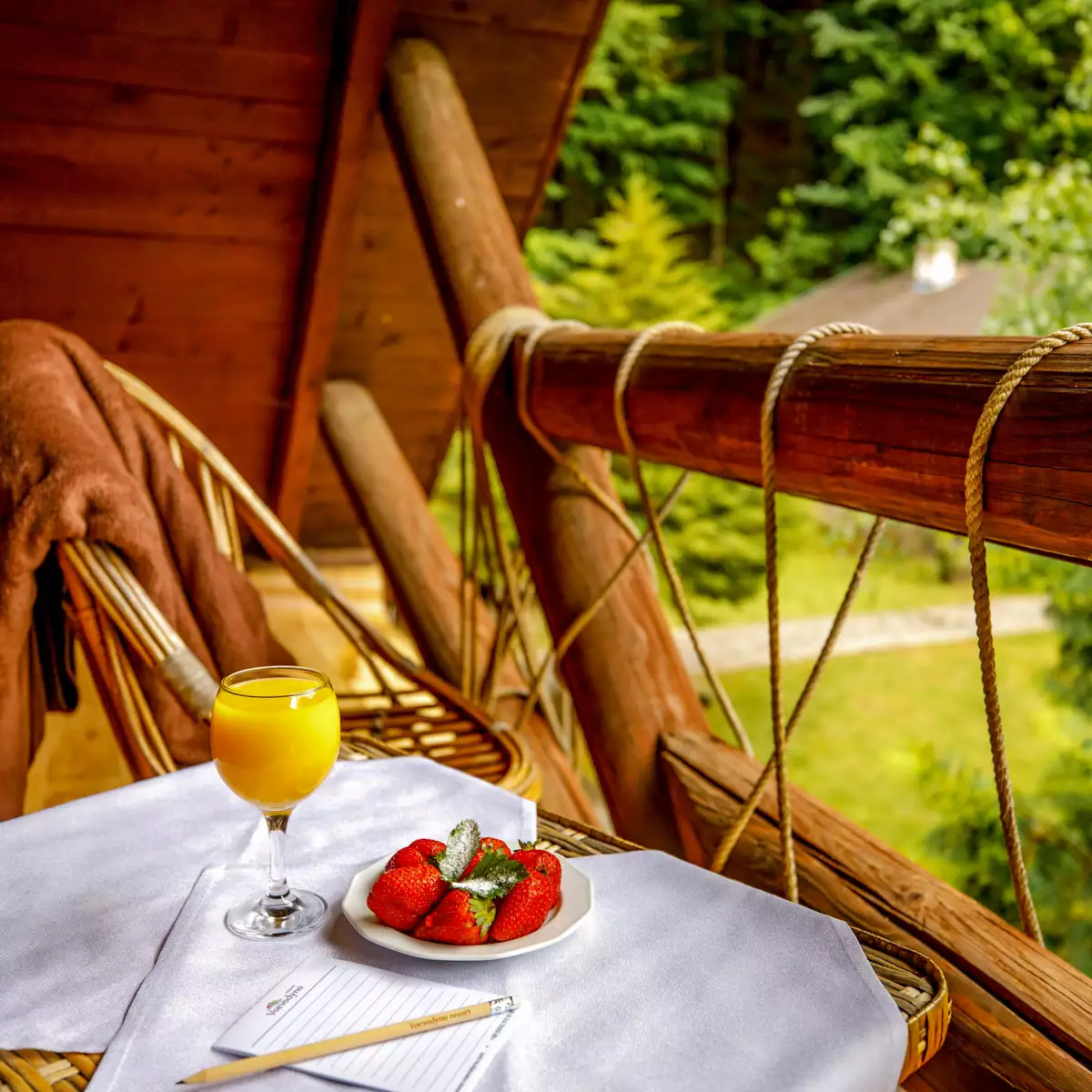 Комплекс «Воєводино»