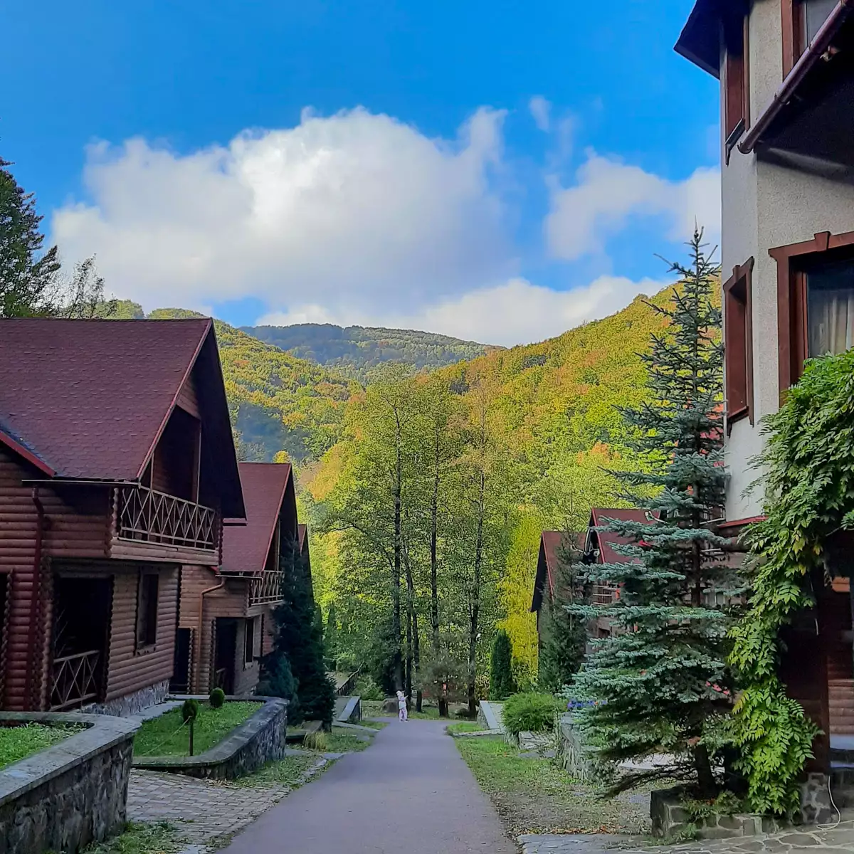 Комплекс «Воєводино»