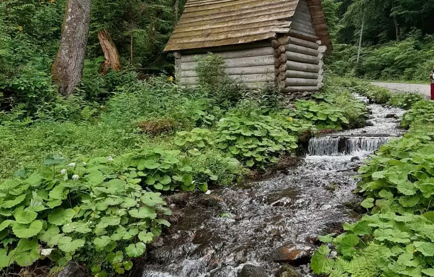 Hotel “Synevyrske Ozero”