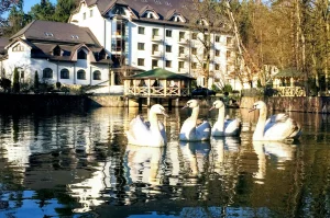 Готелі у Солотвино