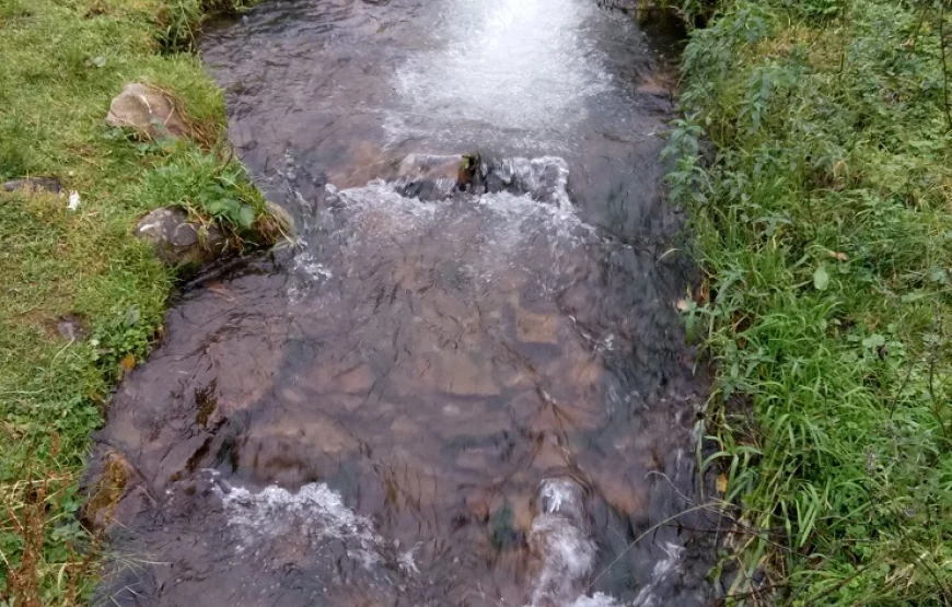 Ресторан “Синевир”