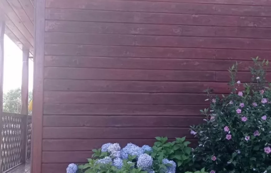 Садиба «Мімоза»