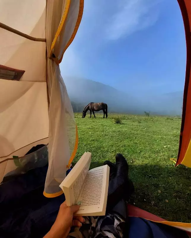 Тематичний відпочинок в Карпатах “Кінні гості”